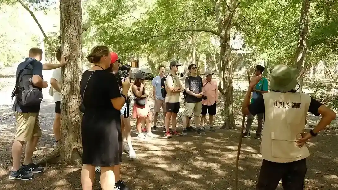 Pulau Komodo di Taman Nasional Komodo, Flores